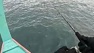 Тунец сорвал поппер у борта — как не повторить blow-up fail?