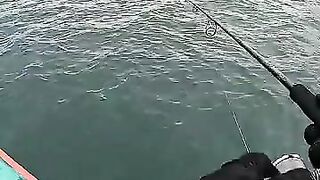 Тунец сорвал поппер у борта — как не повторить blow-up fail?