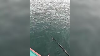 Тунец сорвал поппер у борта — как не повторить blow-up fail?