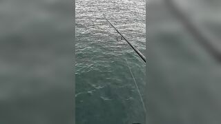 Тунец сорвал поппер у борта — как не повторить blow-up fail?