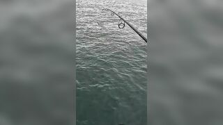 Тунец сорвал поппер у борта — как не повторить blow-up fail?