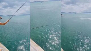 Нячанг: рыба за 15 секунд — активный клев у свала