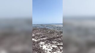 Kiwengwa, Zanzibar - отлив и водоросли: морская рыбалка на кромке рифа возможна ли сейчас?