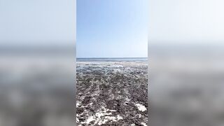 Kiwengwa, Zanzibar - отлив и водоросли: морская рыбалка на кромке рифа возможна ли сейчас?