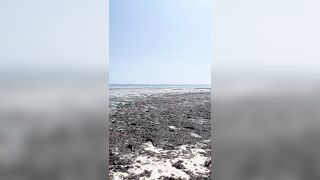 Kiwengwa, Zanzibar - отлив и водоросли: морская рыбалка на кромке рифа возможна ли сейчас?