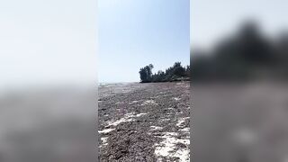 Kiwengwa, Zanzibar - отлив и водоросли: морская рыбалка на кромке рифа возможна ли сейчас?