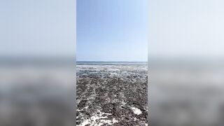 Kiwengwa, Zanzibar - отлив и водоросли: морская рыбалка на кромке рифа возможна ли сейчас?