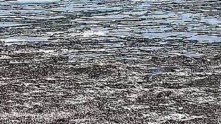 Kiwengwa, Zanzibar - отлив и водоросли: морская рыбалка на кромке рифа возможна ли сейчас?