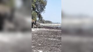 Kiwengwa, Zanzibar - отлив и водоросли: морская рыбалка на кромке рифа возможна ли сейчас?