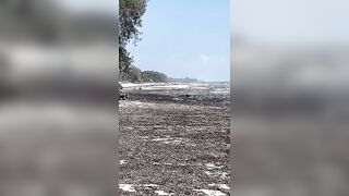 Kiwengwa, Zanzibar - отлив и водоросли: морская рыбалка на кромке рифа возможна ли сейчас?