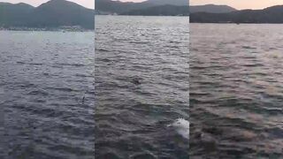 Fethiye, Turkey: почему большой поганке клюет, а где нам искать рыбалку у береговых свалов?