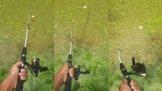 Гибкая удочка - миф или польза: рыбалка на море и на пресной воде