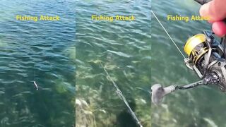 Atar Atmaz Balık avı: рыбалка на рассвете в Турции — приманки и точки