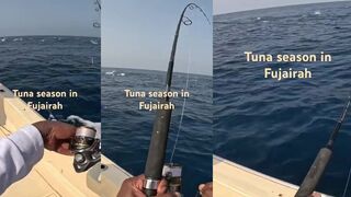 Фуджейра - сезон тунца: морская рыбалка по птице и термоклину