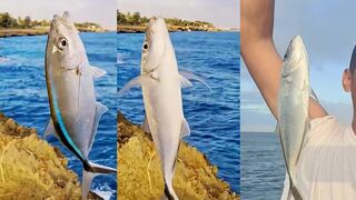 Доминикана, Санто-Доминго: морская рыбалка и местные лодки pesquera