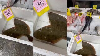 Китай-таун: редкая плоская рыба - где искать и как отпускать