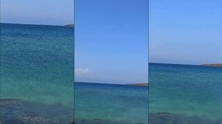 Джибути, день 5: флай-фишинг с камней по групперу и хищнику