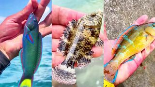 Хайнань - 3 часа, каждая рыба разная: морская рыбалка в Sanya с берега или с катера?