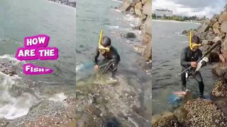 Unawatuna, Sri Lanka — морская рыбалка в Унаватуне: клев на рассвете и где бросать с берега?