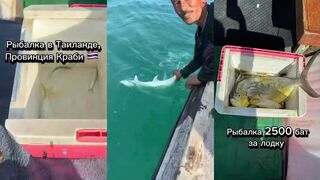 Краби, Таиланд — морская рыбалка в Краби: неожиданный трофей и рабочие приманки