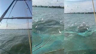 Кочи, Керала: сети на волне и береговая рыбалка у мола