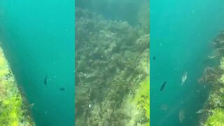 Гагра, Абхазия - «много рыбов» на пляже: что клюет у волнорезов и когда выходить?