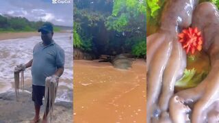 Бентота, Esprit Seafood - улов с океана, а морская рыбалка в Бентоте доступна гостям?