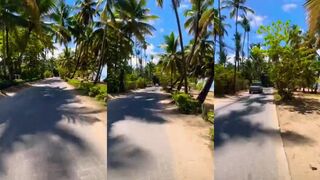 Самана, Доминикана — рыбалка у свалов: стоит ли брать полудневный чартер?