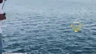 Бахрейн: кингфиш 9 кг на охоте – снасти, проводка, безопасность