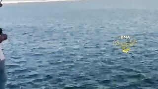 Бахрейн: кингфиш 9 кг на охоте – снасти, проводка, безопасность