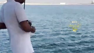 Бахрейн: кингфиш 9 кг на охоте – снасти, проводка, безопасность