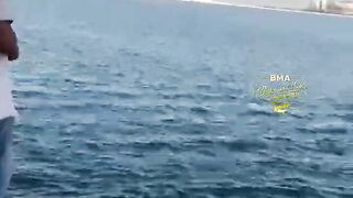 Бахрейн: кингфиш 9 кг на охоте – снасти, проводка, безопасность