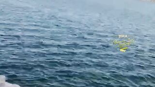 Бахрейн: кингфиш 9 кг на охоте – снасти, проводка, безопасность