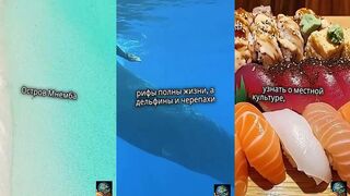 Мнемба, Занзибар: дельфины и снорклинг, а морская рыбалка на свале разрешена?