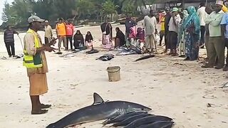 Кизимкази, Занзибар — рыбацкая деревня юга: лодки, прилив и уловы