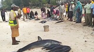 Кизимкази, Занзибар — рыбацкая деревня юга: лодки, прилив и уловы