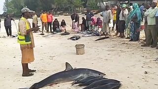 Кизимкази, Занзибар — рыбацкая деревня юга: лодки, прилив и уловы