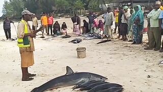 Кизимкази, Занзибар — рыбацкая деревня юга: лодки, прилив и уловы