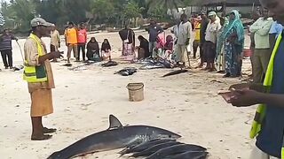 Кизимкази, Занзибар — рыбацкая деревня юга: лодки, прилив и уловы