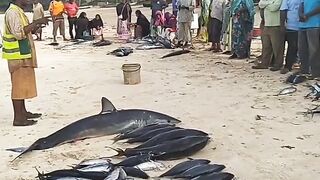 Кизимкази, Занзибар — рыбацкая деревня юга: лодки, прилив и уловы