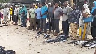 Кизимкази, Занзибар — рыбацкая деревня юга: лодки, прилив и уловы