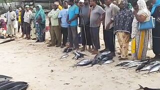 Кизимкази, Занзибар — рыбацкая деревня юга: лодки, прилив и уловы