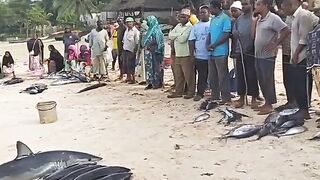 Кизимкази, Занзибар — рыбацкая деревня юга: лодки, прилив и уловы