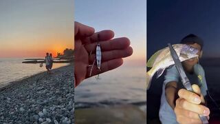 Сочи, темный горбыль: морская рыбалка вечером — червь, креветка или силикон по камням?