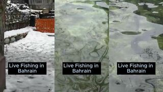 Бахрейн в прямом эфире: морская рыбалка на струе у фарватера
