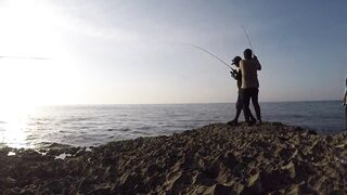 Салала — охота на кальмара: свет, оснастка и проводки ночью