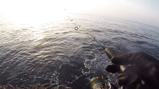 Салала — охота на кальмара: свет, оснастка и проводки ночью