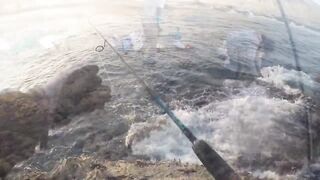 Салала — охота на кальмара: свет, оснастка и проводки ночью