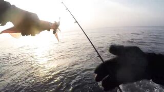 Салала — охота на кальмара: свет, оснастка и проводки ночью