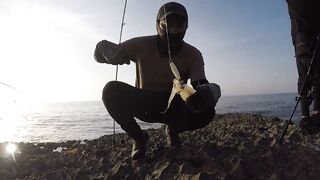 Салала — охота на кальмара: свет, оснастка и проводки ночью